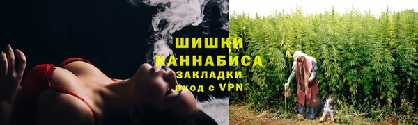 молекула духа Покровск