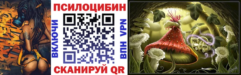 где найти   Старая Русса  Галлюциногенные грибы Cubensis 