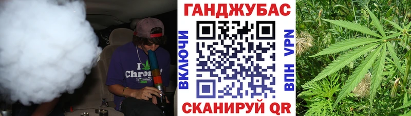 Конопля план  где можно купить   Старая Русса 